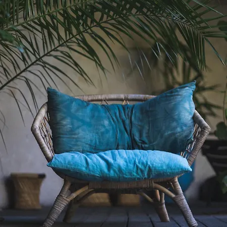 D'hiver アルカション