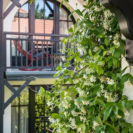 D'hiver 4* アルカション